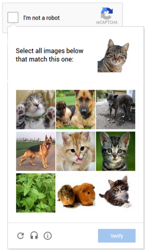 Image Selection.png