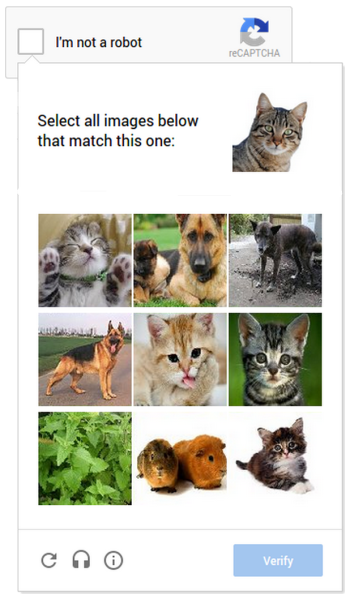 File:Image Selection.png